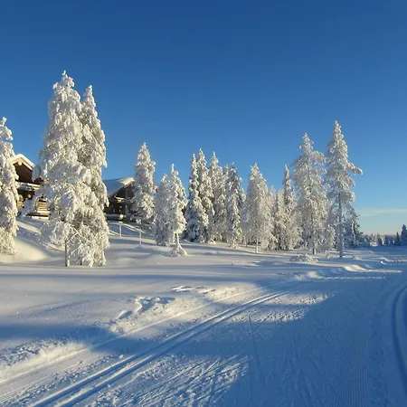 Rukakaiku Ferienhaus Ruka